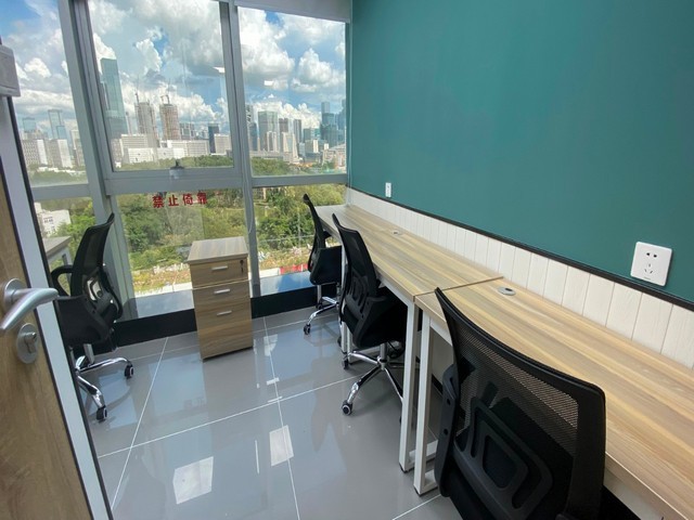 鲤城浮桥金钱树零售